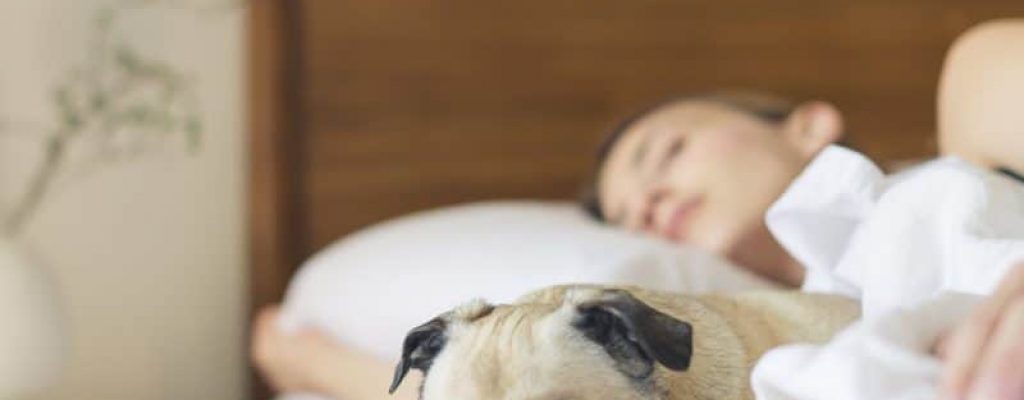 better-sleep-1024x683[1]